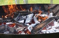 Barbeque Fire. Royalty Free Stock Photo