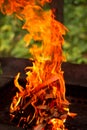 Barbeque fire on dark background Royalty Free Stock Photo