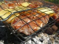 Barbeque fried on the bonfire and coals Royalty Free Stock Photo