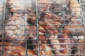 Barbeque Fried On The Bonfire And Coals Royalty Free Stock Photo