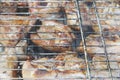 Barbeque grilling On The Bonfire And Coals Royalty Free Stock Photo