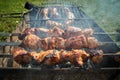 Barbeque meat and sausages or bratwurst on a grill grate in backyard. Man preparing shashlik or shish kebab over Royalty Free Stock Photo