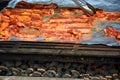 Barbequing Ribs on Charcoal Fire Royalty Free Stock Photo