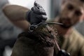 Barber in black gloves cuts with scissors hair on top of head of dark-haired man at a barbershop