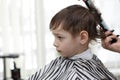Barber cutting hair of preschooler Royalty Free Stock Photo