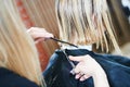 Barber or stylist at work. Hairdresser cutting woman hair Royalty Free Stock Photo