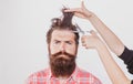 Barber Haircut. Haircare procedures. Hairdresser cuts hair with scissors. Man with long beard, mustache and stylish hair Royalty Free Stock Photo