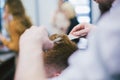 Barber Making Haircut Bearded Man In Barbershop. Professional stylist cutting client hair in salon. Barber using Royalty Free Stock Photo