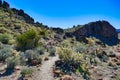 The Barber Peak Trail, Mojave National Preserve, California Royalty Free Stock Photo