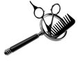 Barber scissors with comber with magnifying glass