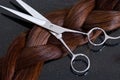 Barber Scissors and Hair