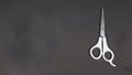 Barber scissors isolated on black background Royalty Free Stock Photo