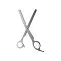 Barber scissors with rounded ends isolated on white background