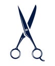 Barber scissors