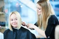 Barber or stylist at work. Hairdresser cutting woman hair Royalty Free Stock Photo