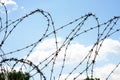 Barbered wire Royalty Free Stock Photo