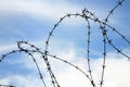 Barbered wire Royalty Free Stock Photo