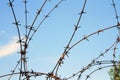 Barbered wire Royalty Free Stock Photo