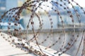 Barbered wire over a blue sky and on building ground, rusty Royalty Free Stock Photo