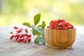 Barberries and goji berries Royalty Free Stock Photo