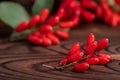 Barberry, Berberis vulgaris, branch with natural fresh ripe red berries on wooden background Royalty Free Stock Photo