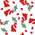 Barberry plant with red berries seamless pattern. Vector illustation.