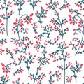 Barberry seamless pattern Royalty Free Stock Photo