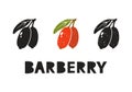 Barberry, silhouette icons set with lettering. Imitation of stamp, print with scuffs