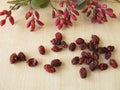 Barberry twigs and dried barberries