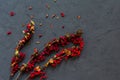 Barberry twigs with little red mature berries on grey stone textured backdrop. Copy space. Spice for meal. Concept