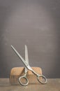 Barbershop concept. Old style. Hairbrushes and a scissors on a gray background. Selective focus Royalty Free Stock Photo