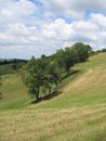 Barbiano, Parma province, Italy , Landsacpe ,green hills Royalty Free Stock Photo