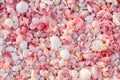 Barbuda pink sand beach Royalty Free Stock Photo