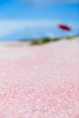 Barbuda pink sand beach