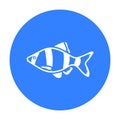 Barbus fish icon black. Singe aquarium fish icon from the sea,ocean life black.