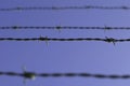 Barbwire Royalty Free Stock Photo