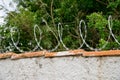 Barbwire atop a fence for extra protection