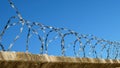 Barbwire closeup against a blue sky.