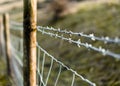 Barbwire fence at a private property Royalty Free Stock Photo