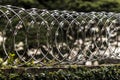 Barbwire fence on top of a wall with climbing plant for security in Brazil with selective focus