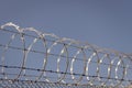 barbwire prison wall with barbed wire fence coiled razor wire perimeter fence, barb Royalty Free Stock Photo