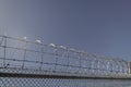 barbwire prison wall with barbed wire fence coiled razor wire perimeter fence, barbed fence. Royalty Free Stock Photo