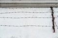 Barbwire on white wall Royalty Free Stock Photo