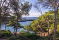 Barca Trencada bay through the pines, mallorca spain