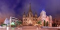 Barcelona Cathedral in the moonlit night, Spain Royalty Free Stock Photo