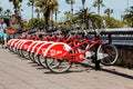 Barcelona Cycle Hire / Viu Bicing