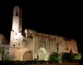 Barcelona: medieval Palau Reial at night