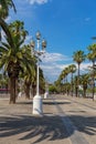 Barcelona Port Vell promenade on sunny summer day. Beautiful white street lights, tall green palms on blue sky background. Lovely