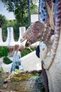 Close-up of the dragon`s head on the dragon`s stairway at the entrance of the Guell park by the Spanish architect Gaudi Royalty Free Stock Photo