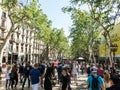 Hundreds of people promenading in the busiest street of Barcelona, the Ramblas.